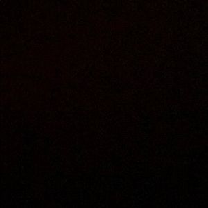 Meet your Posher, Jasmine. ~ PLZ READ 🧸✅